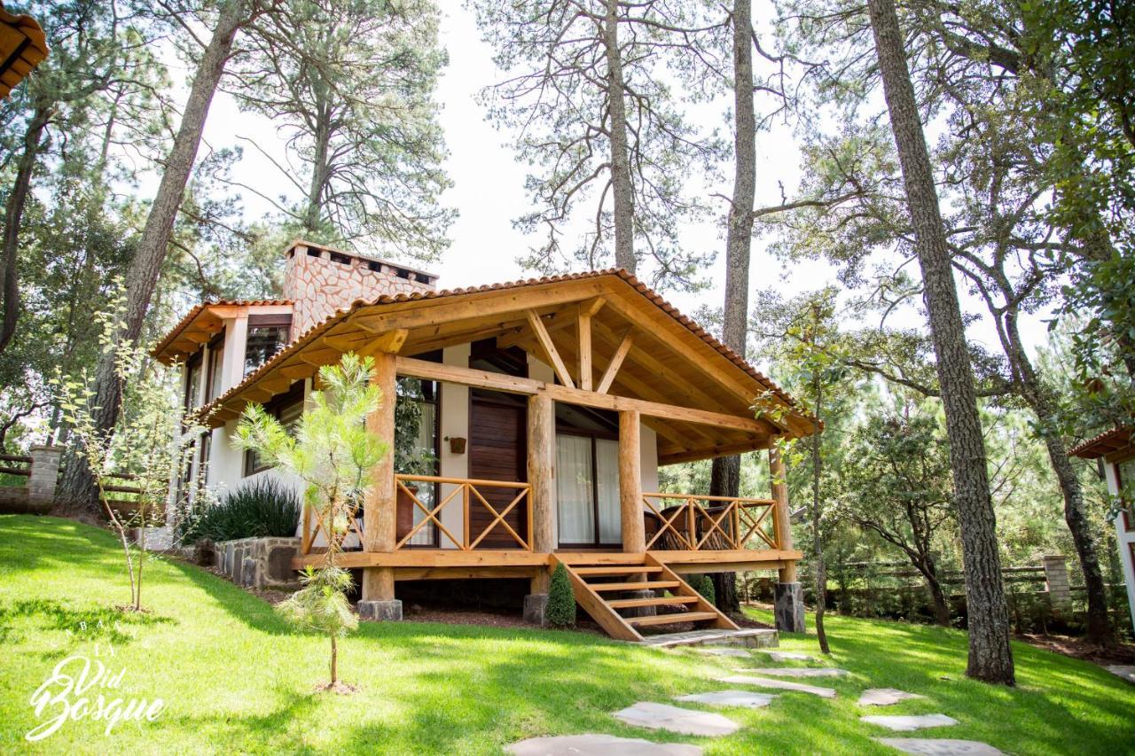 Cabanas La Vid Del Bosque Tapalpa Exterior foto