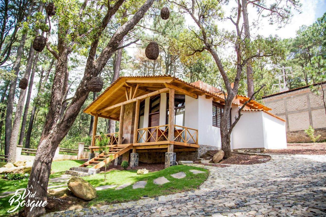 Cabanas La Vid Del Bosque Tapalpa Exterior foto