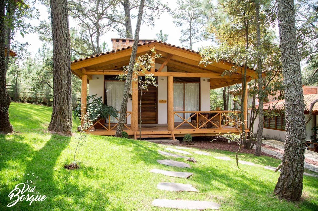 Cabanas La Vid Del Bosque Tapalpa Exterior foto
