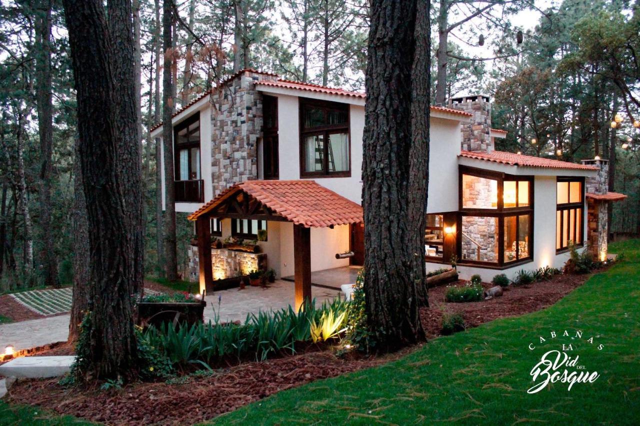 Cabanas La Vid Del Bosque Tapalpa Exterior foto