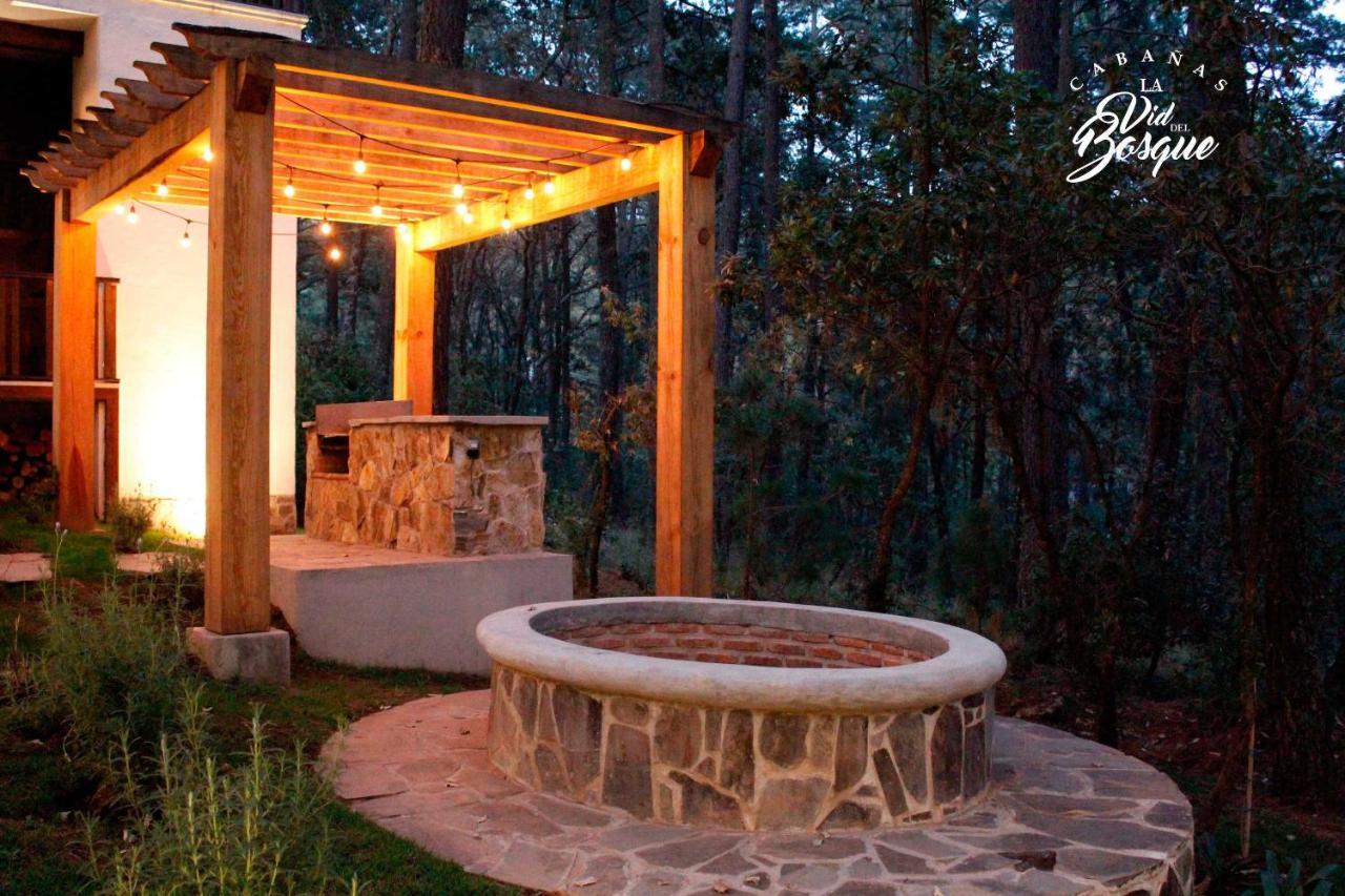 Cabanas La Vid Del Bosque Tapalpa Exterior foto