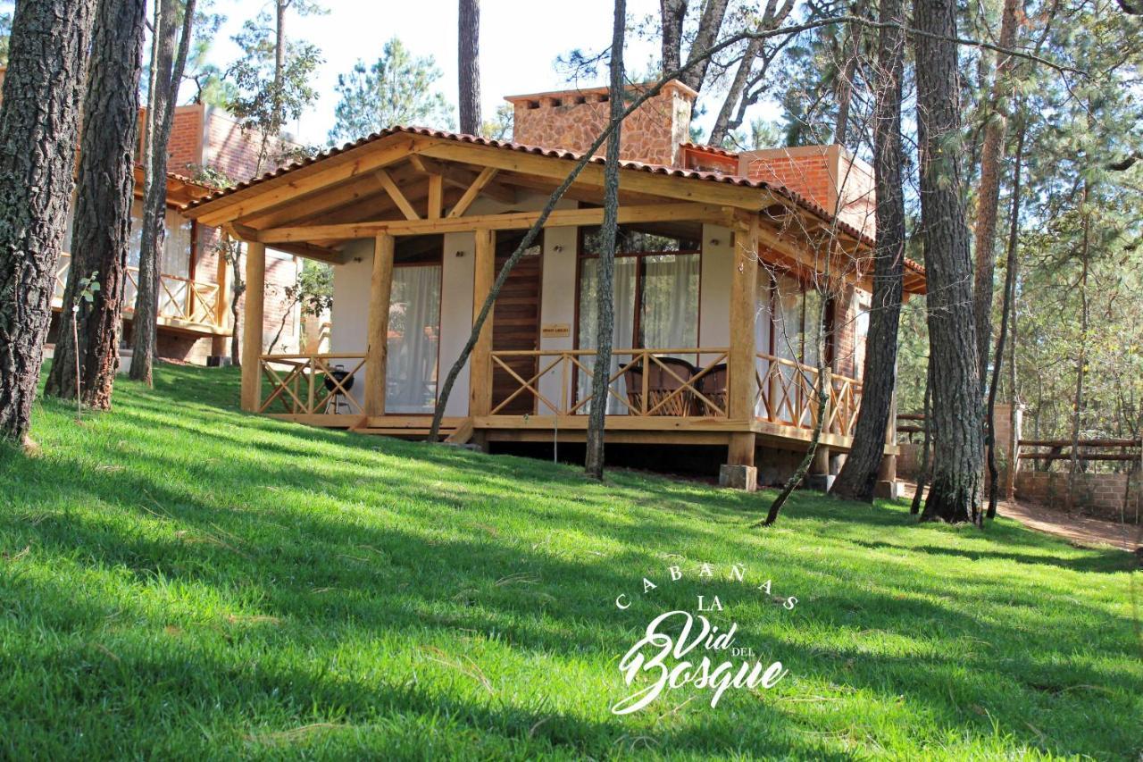 Cabanas La Vid Del Bosque Tapalpa Exterior foto