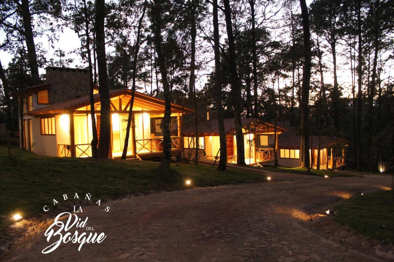 Cabanas La Vid Del Bosque Tapalpa Exterior foto
